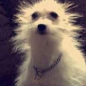 Meet your Posher, Mia